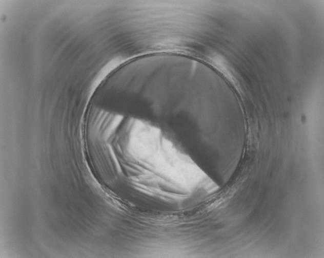 X0000058761291200510211648