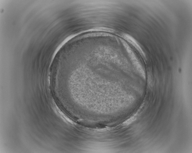 X0000058761292200510211648