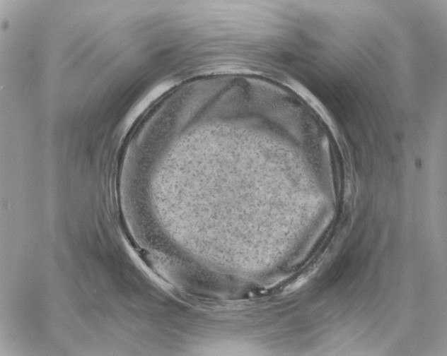 X0000058761293200510211648