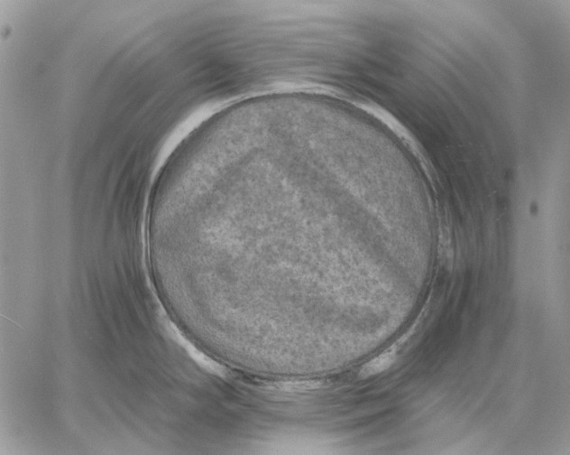 X0000058761294200510211648