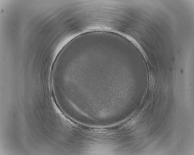 X0000058761295200510211648