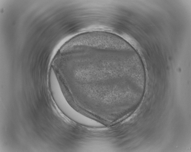 X0000058761296200510211648