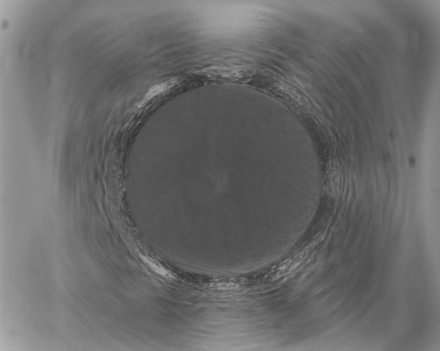 X0000058761297200510211647