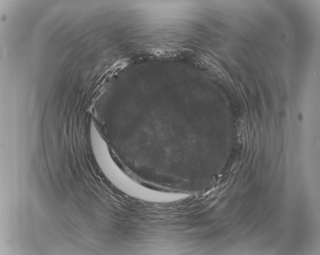 X0000058761298200510211647