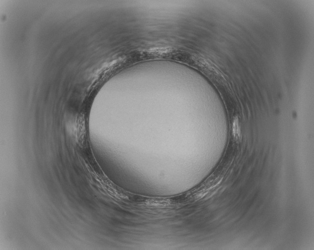 X0000058761299200510211647