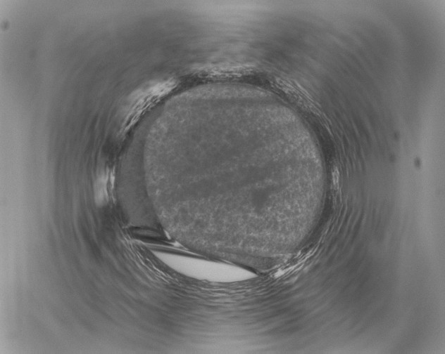 X0000058761300200510211647