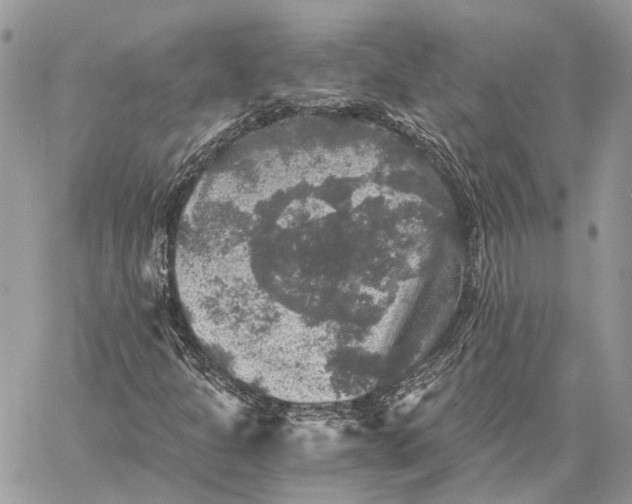 X0000058761301200510211647