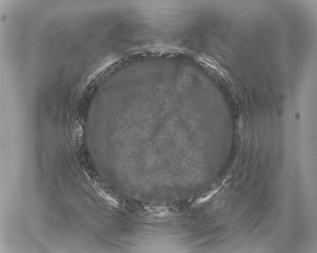 X0000058761302200510211647