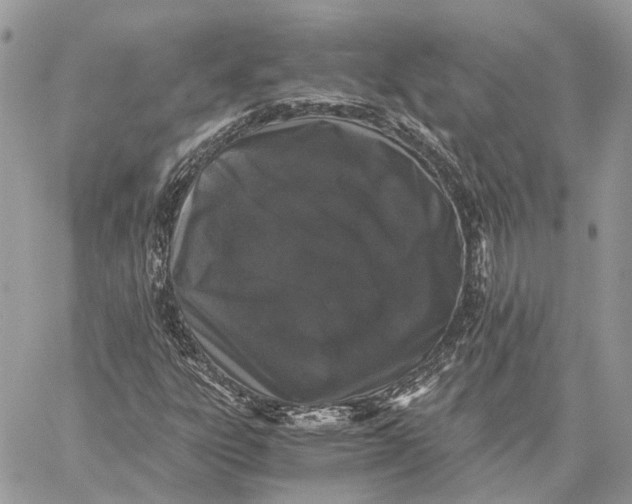 X0000058761303200510211647