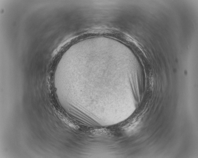 X0000058761304200510211647