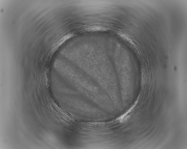 X0000058761305200510211647