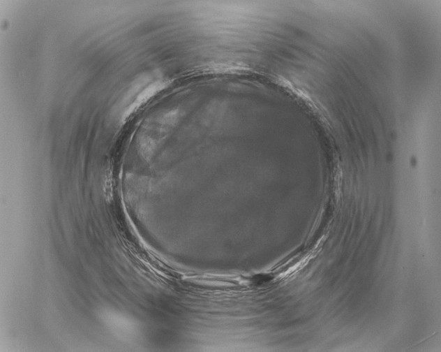 X0000058761306200510211647