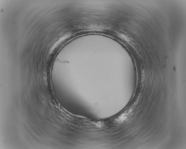 X0000058761307200510211647