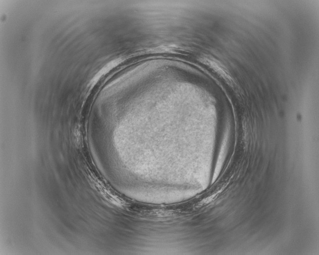 X0000058761308200510211647