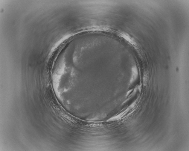 X0000058761310200510211647