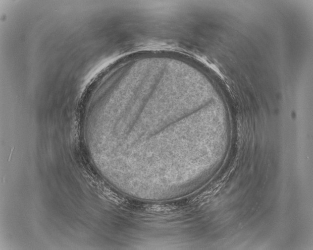 X0000058761311200510211647