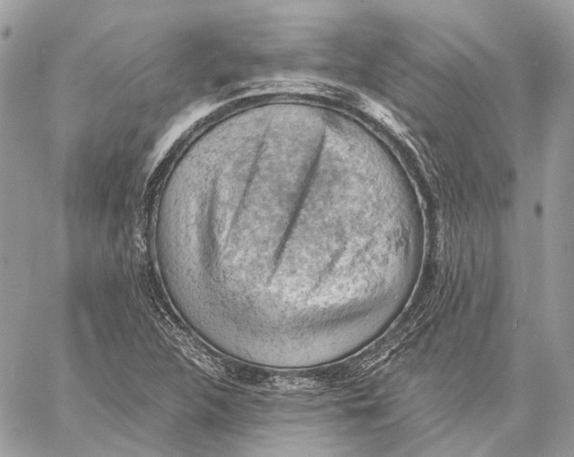 X0000058761312200510211647