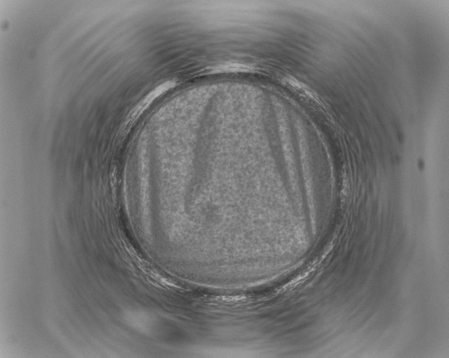 X0000058761313200510211647