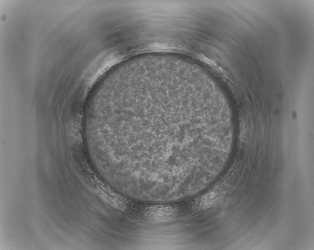 X0000058761314200510211648