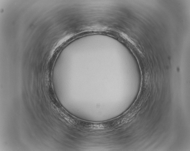 X0000058761315200510211648