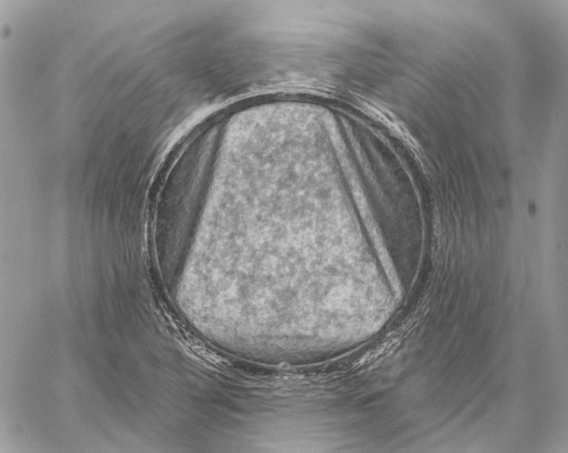 X0000058761316200510211648