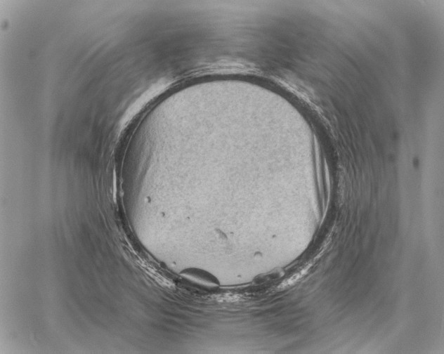 X0000058761317200510211648