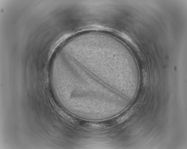 X0000058761318200510211648