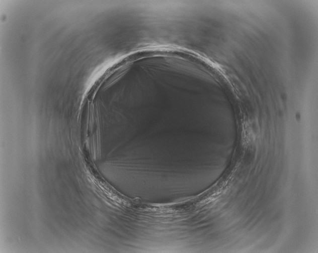 X0000058761319200510211648