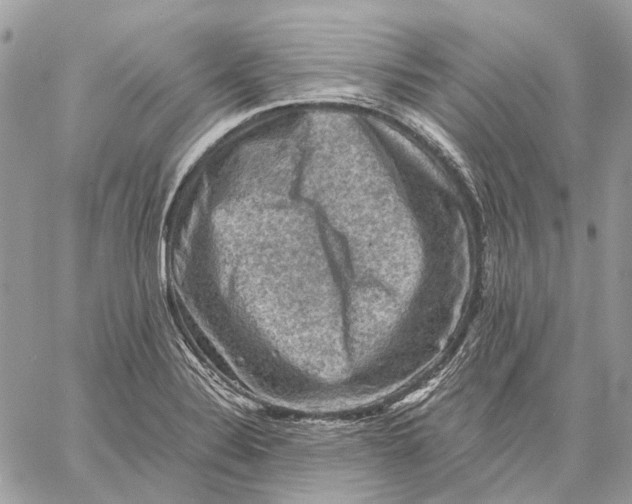 X0000058761324200510211648