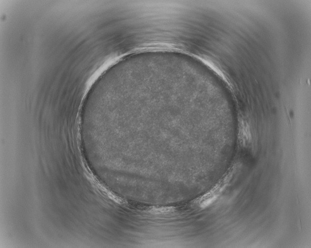 X0000058761325200510211648