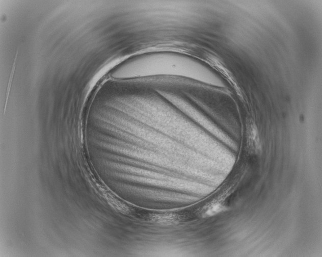 X0000058761328200510211648