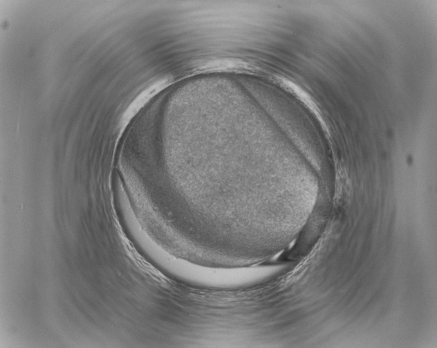 X0000058761330200510211648