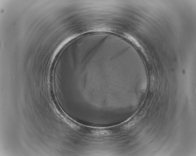 X0000058761331200510211648