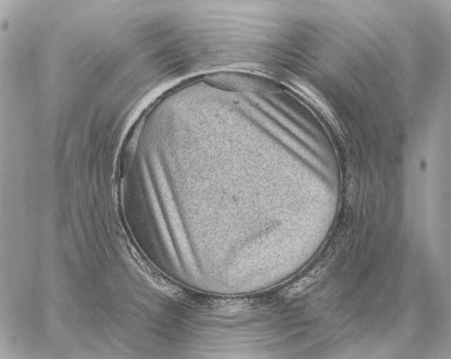 X0000058761332200510211648