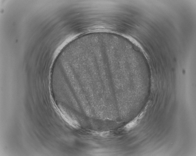 X0000058761333200510211648