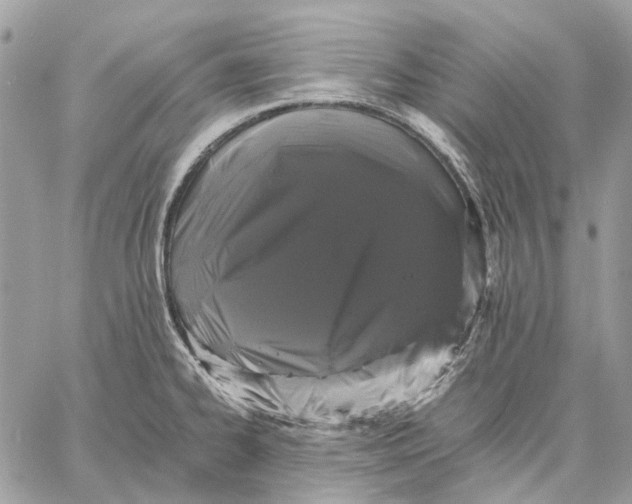 X0000058761334200510211648