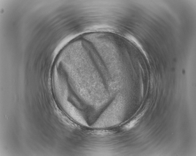 X0000058761336200510211648