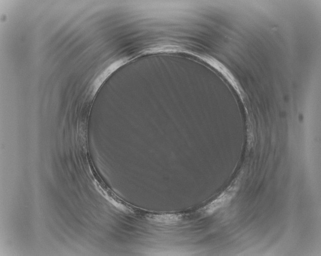 X0000058761337200510211648