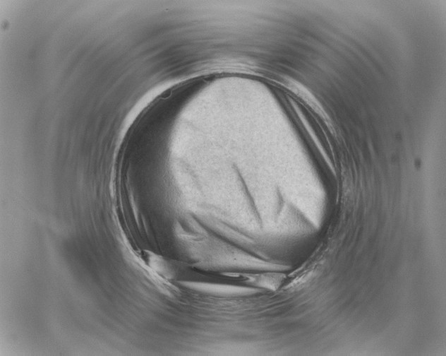 X0000058761339200510211648