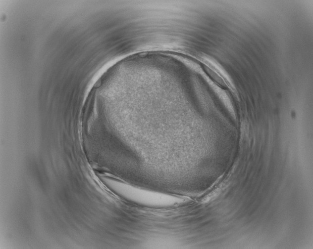 X0000058761340200510211648