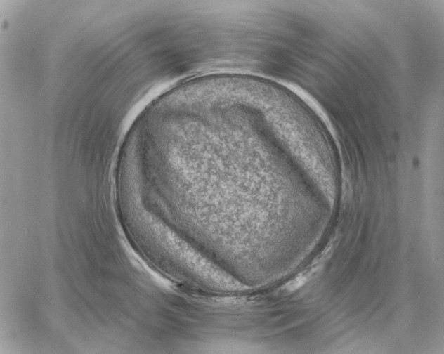 X0000058761341200510211648