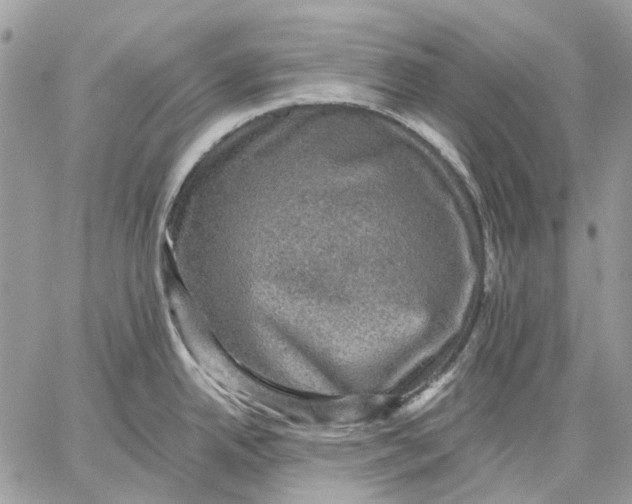 X0000058761342200510211648