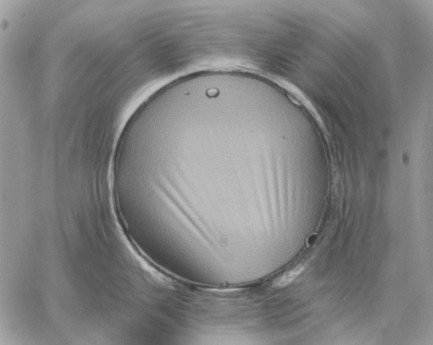 X0000058761343200510211648