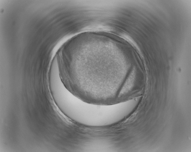 X0000058761344200510211648