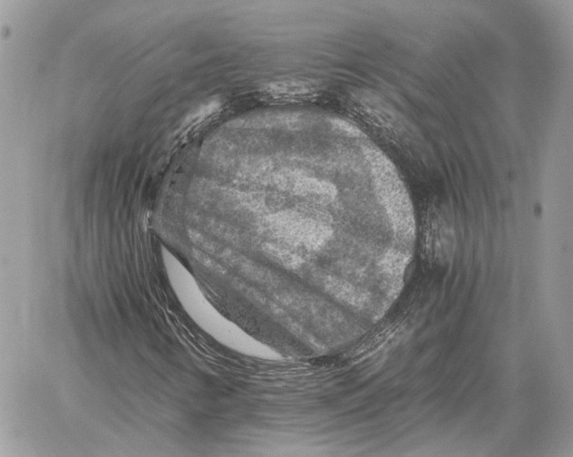 X0000058761346200510211647