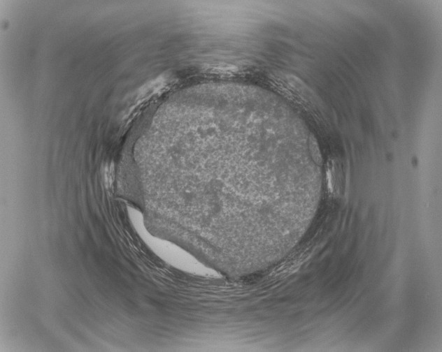 X0000058761347200510211647