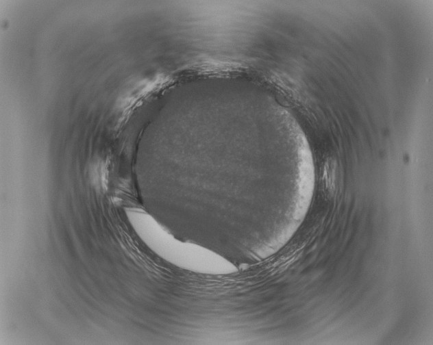 X0000058761348200510211647