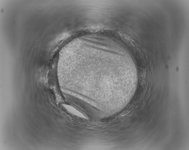 X0000058761349200510211647