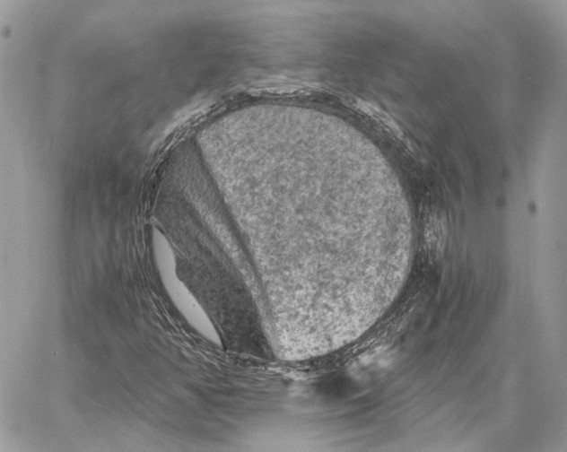 X0000058761350200510211647