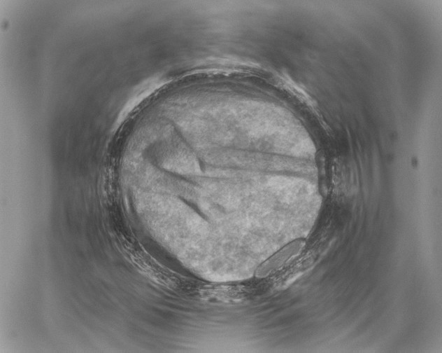 X0000058761352200510211647